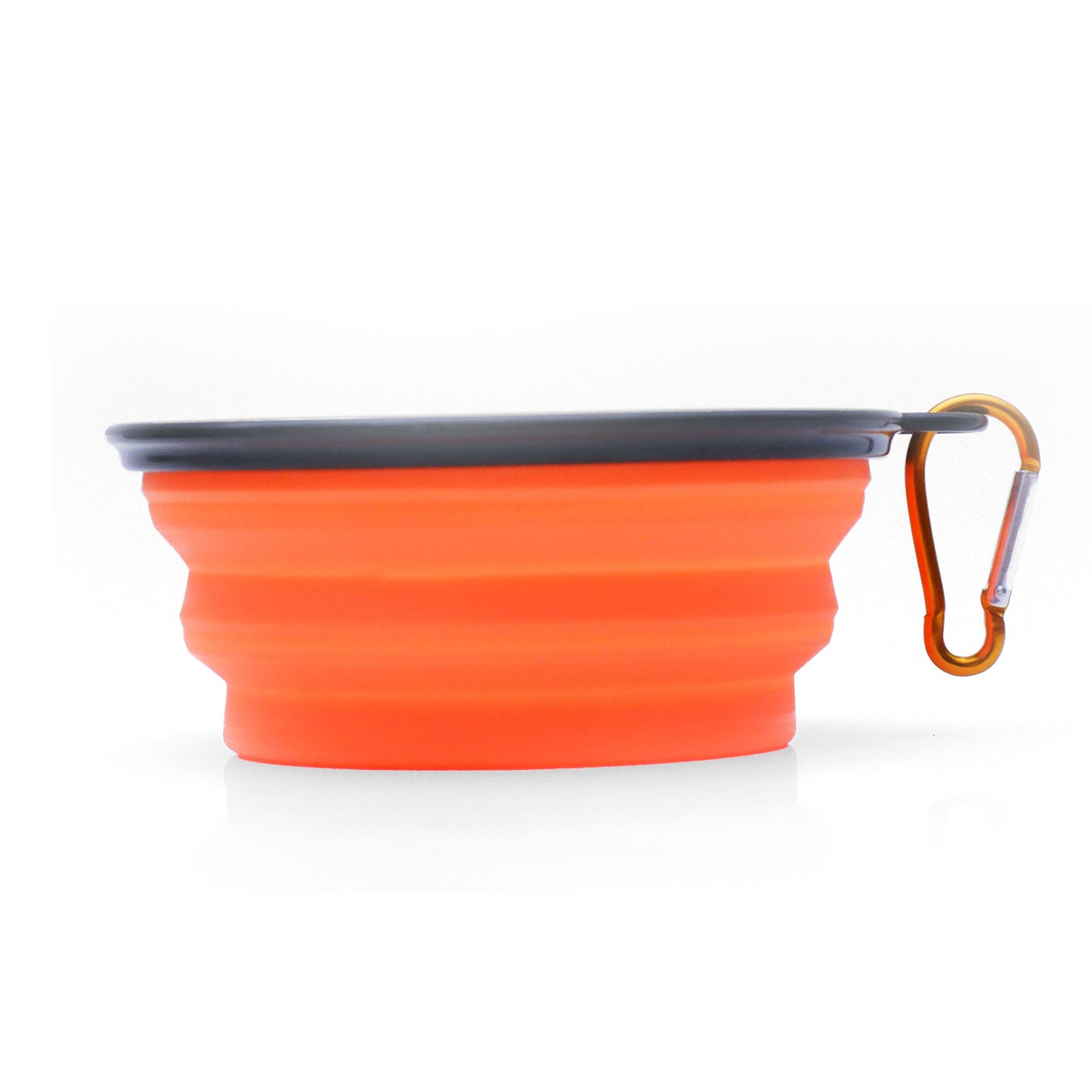 Collapsible Silicone Bowl