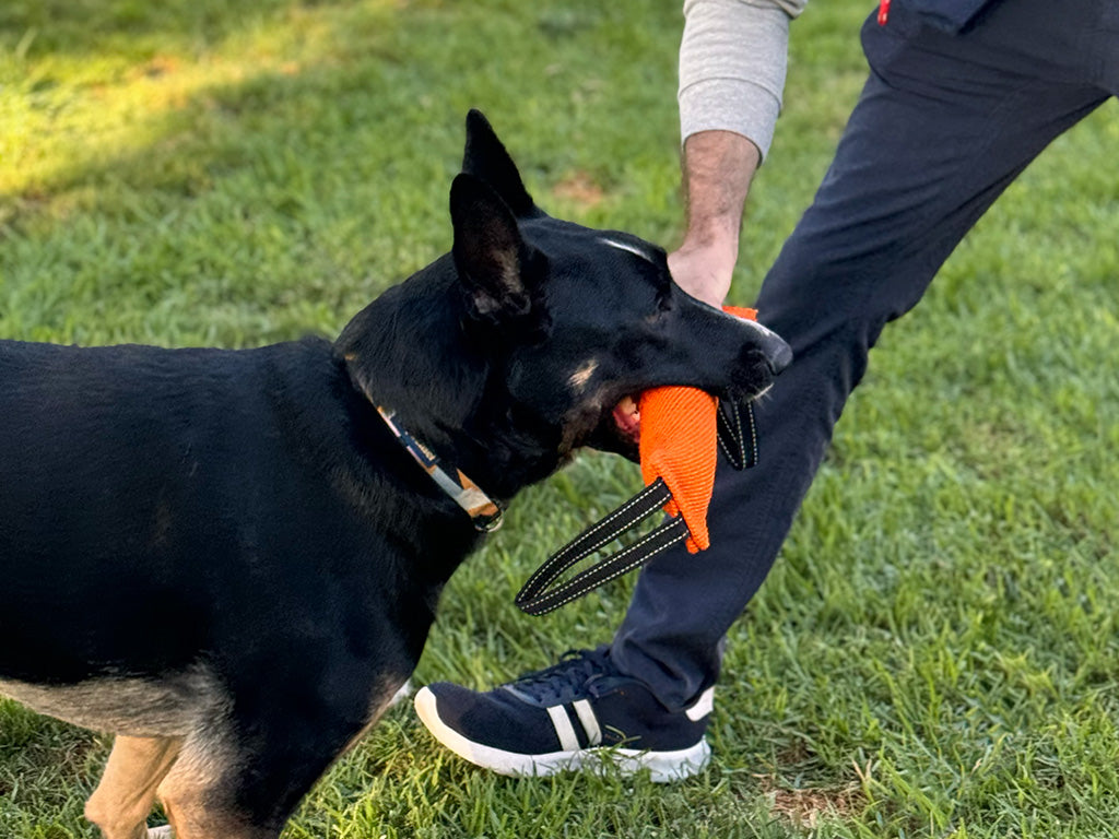 Bite Pillow