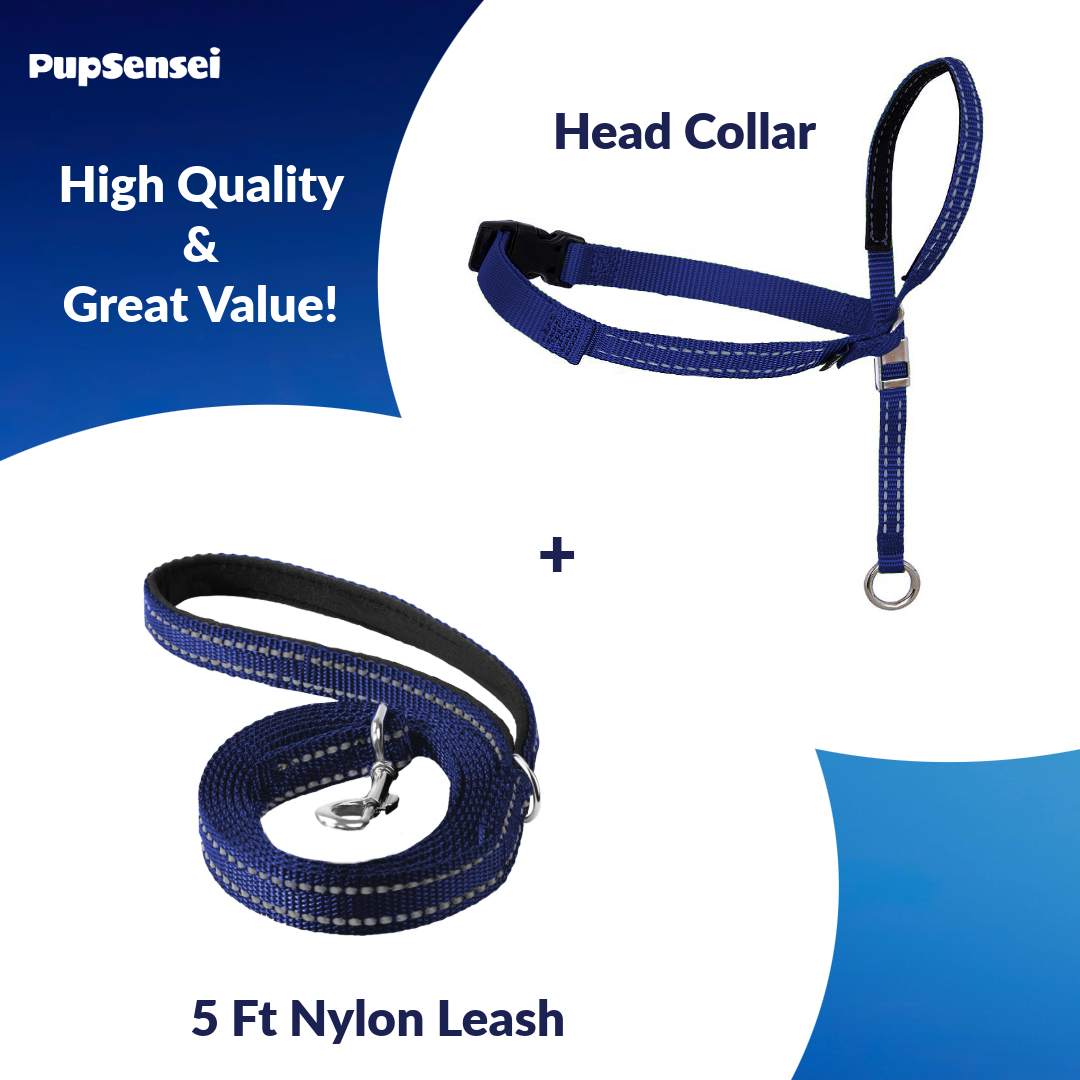 Headcollar for Dogs
