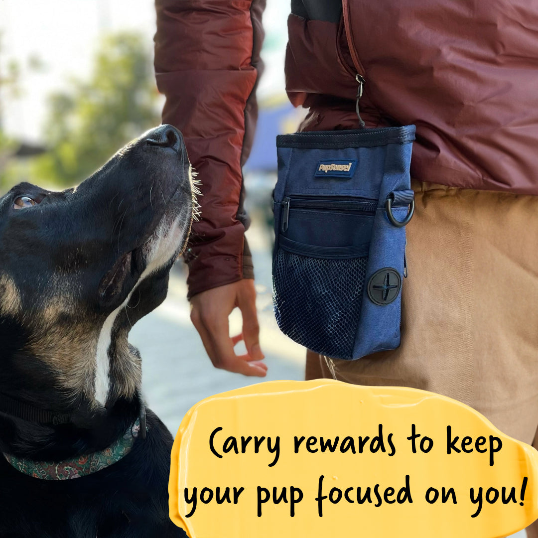 Magnetic Treat Pouch