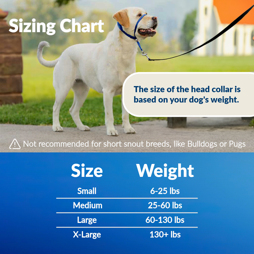 Headcollar for Dogs