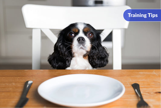 How to Prepare Treats at Home