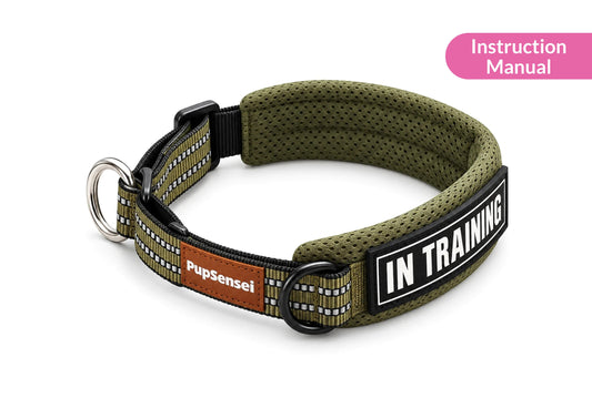 How to fit and use the PupSensei Slip-On Martingale Collar, instruction manual
