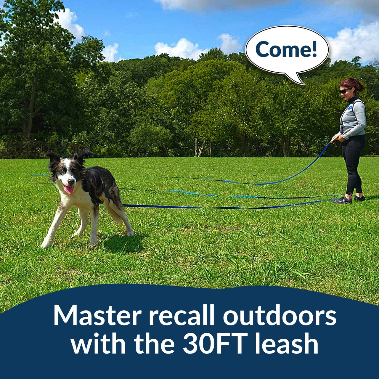 Puppy Training Kit