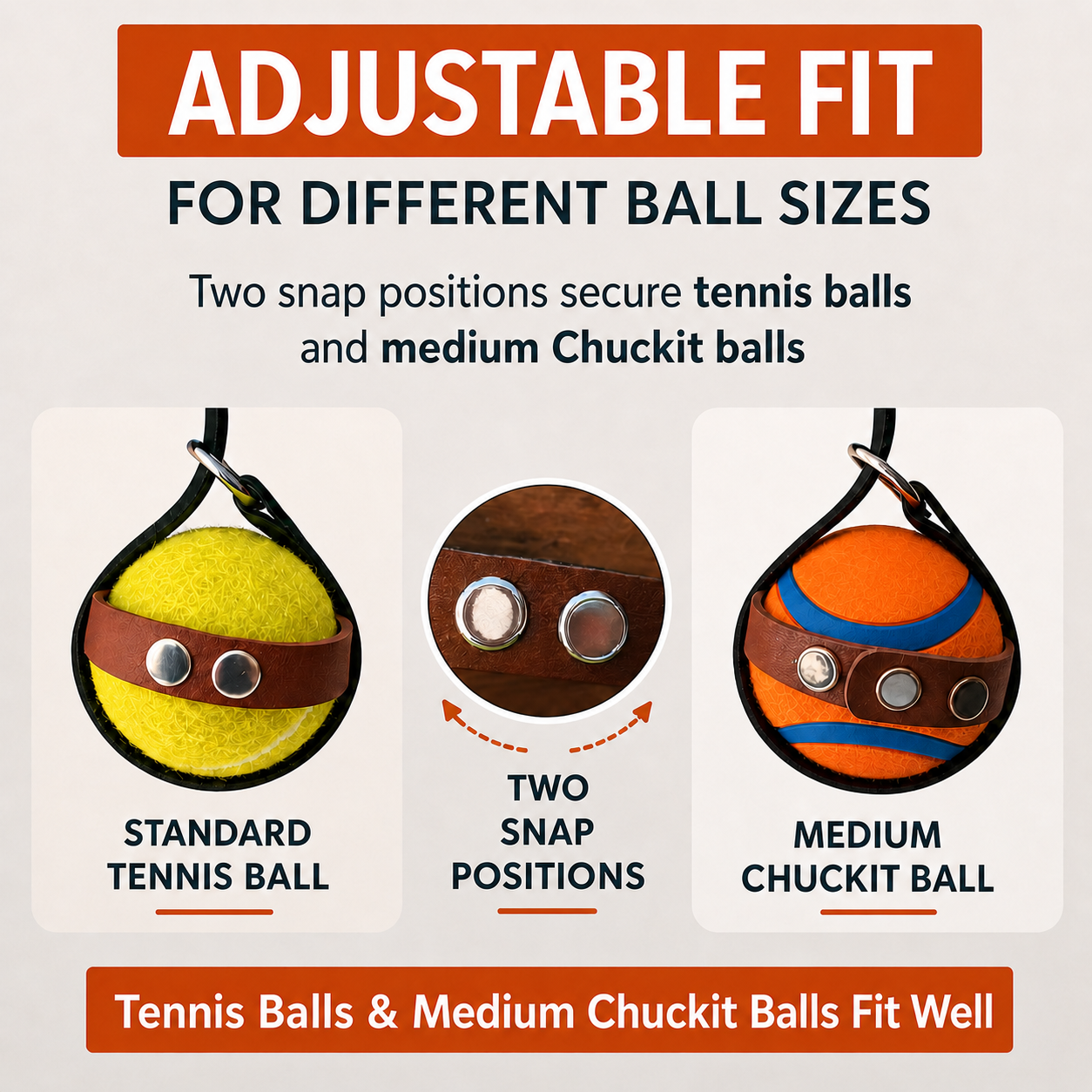 Dog Ball Holder