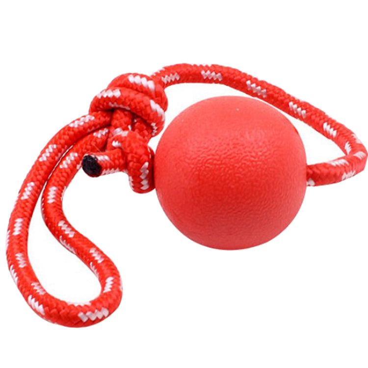 Ball with Rope – PupSensei