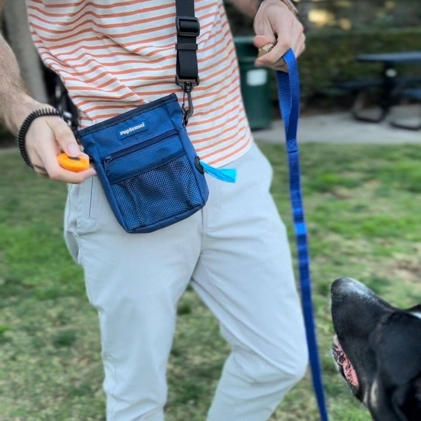 Puppy Training Kit