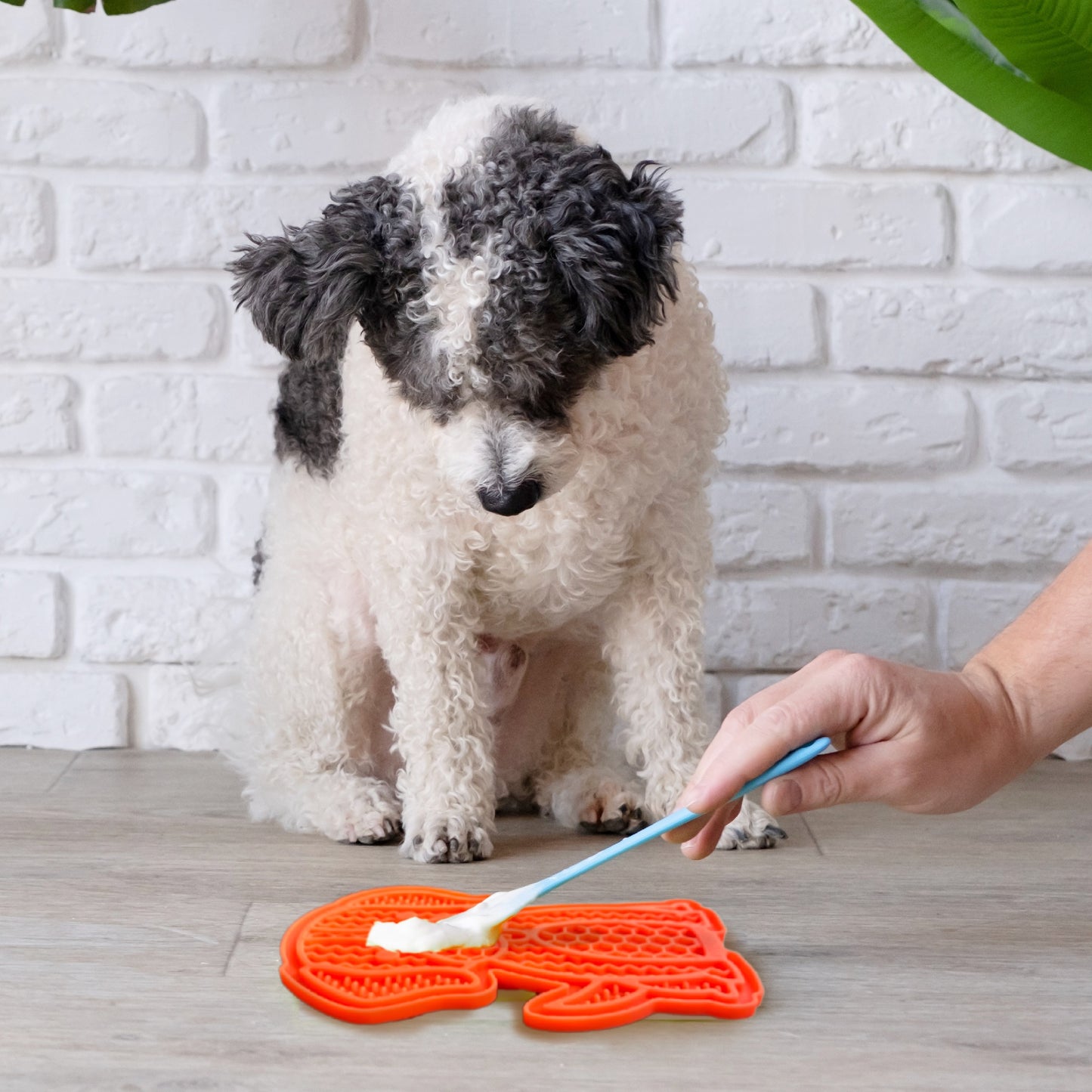 Ultra-Suction Lick Mat