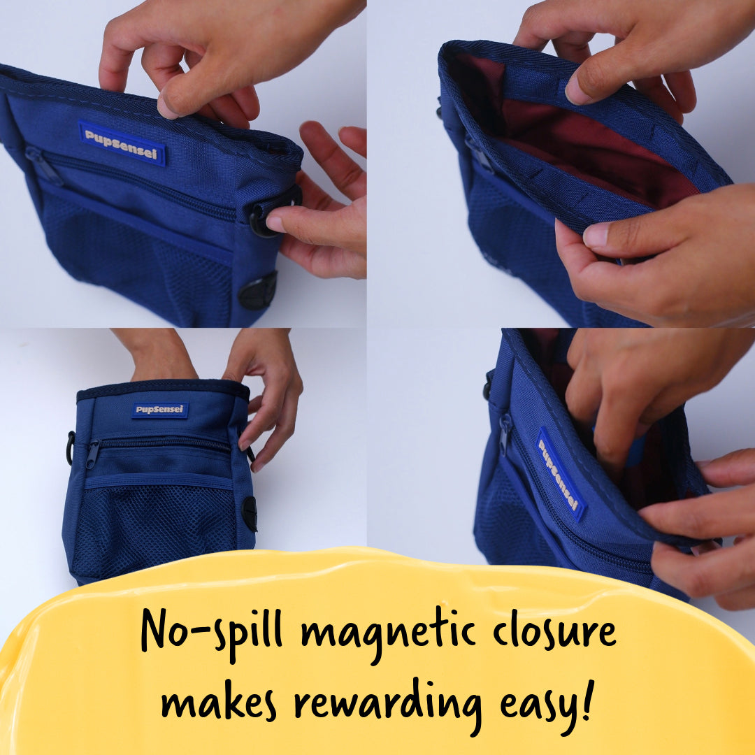 Magnetic Treat Pouch