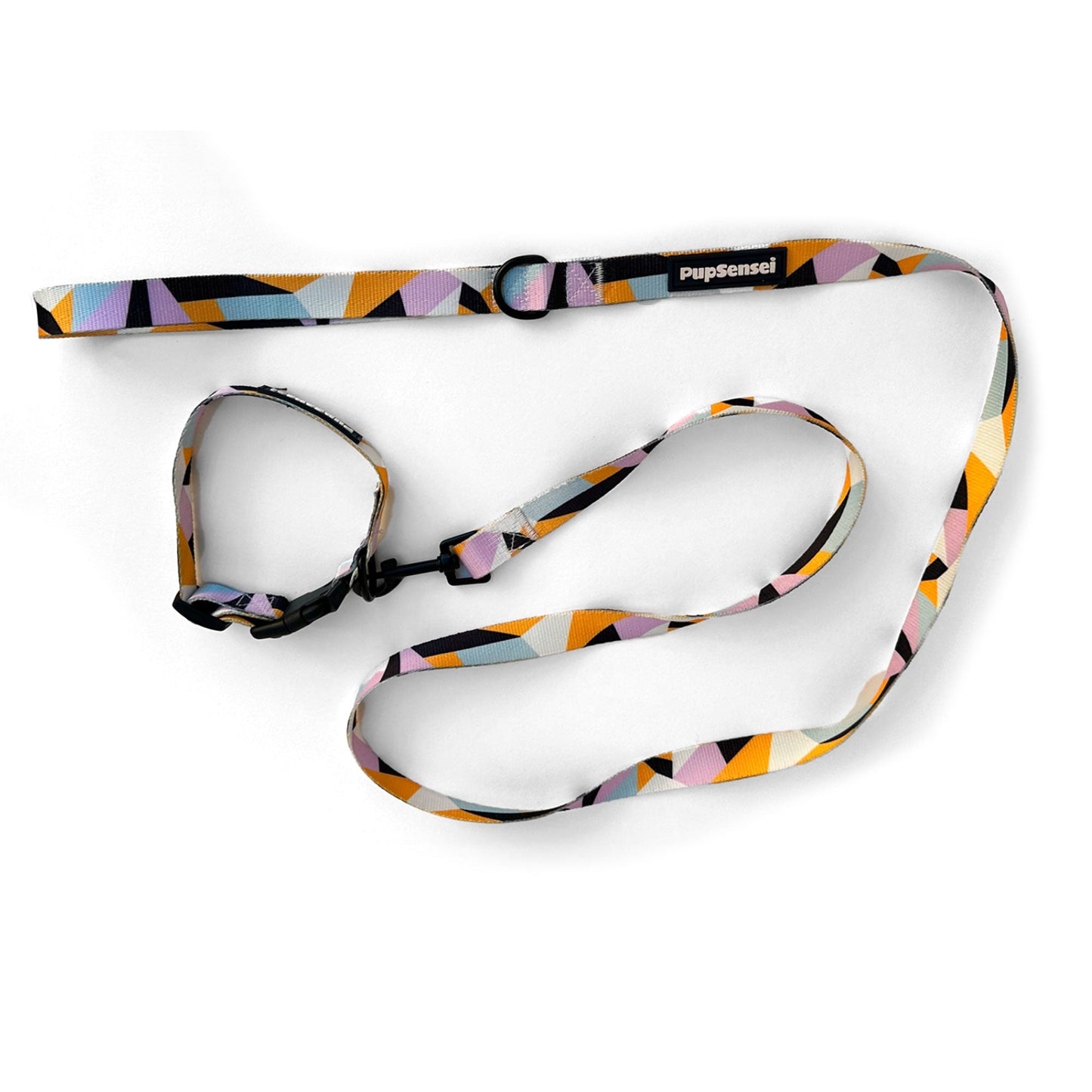 Buckle Collar and Leash Set