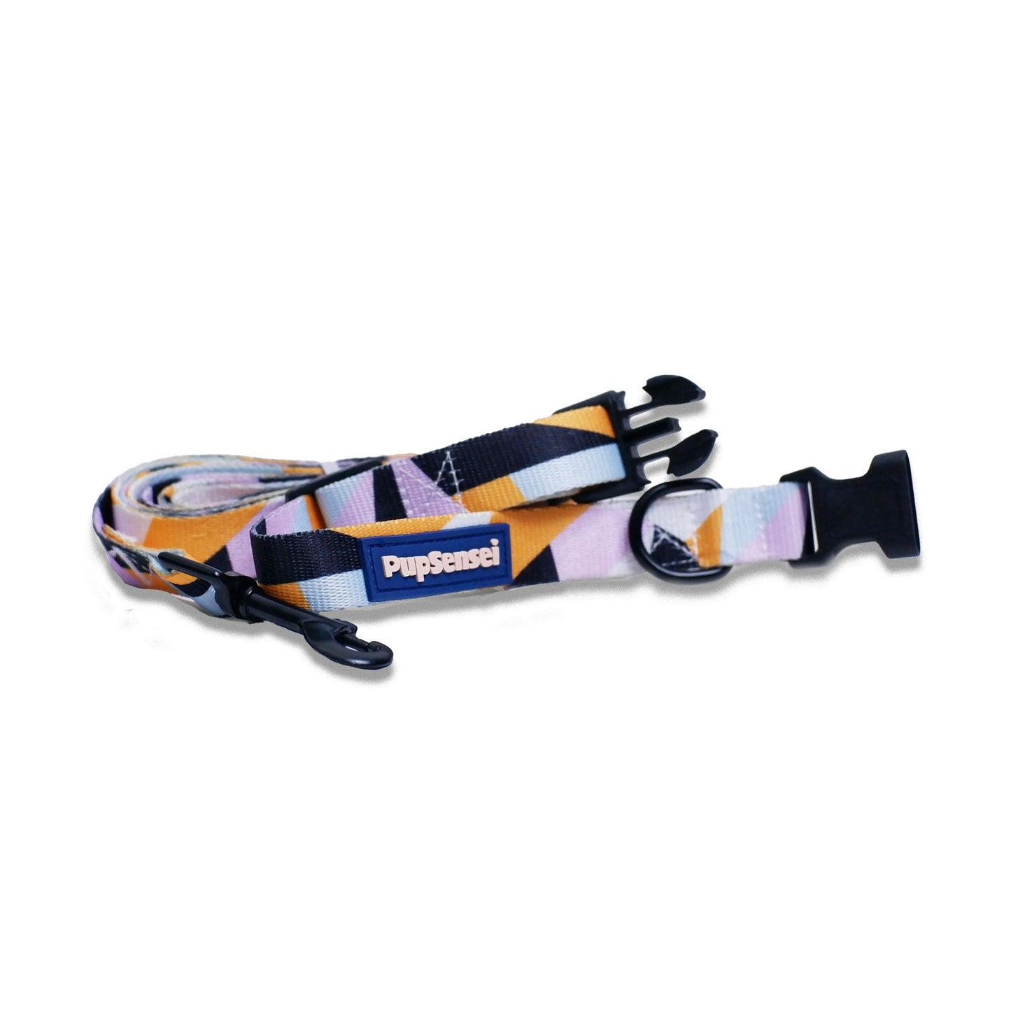 Buckle Collar and Leash Set