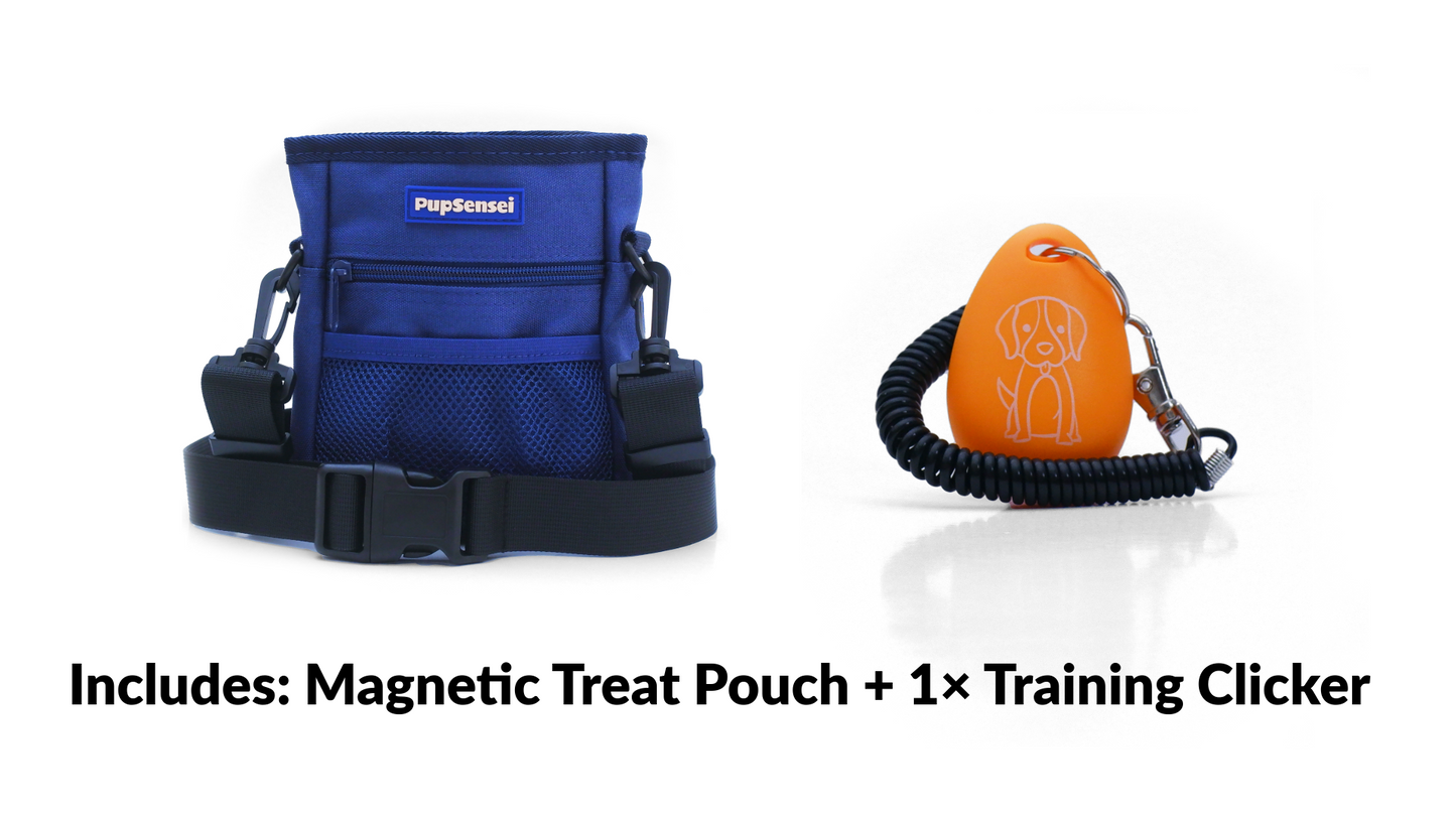 Starter Training Kit