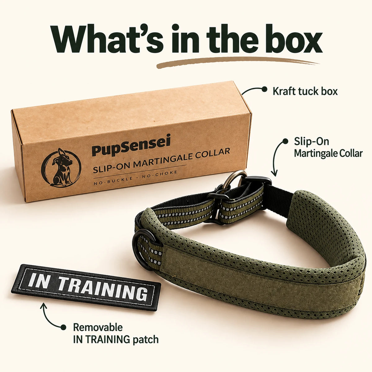 What's in the box: kraft tuck box, Slip-On Martingale Collar and removable IN TRAINING patch