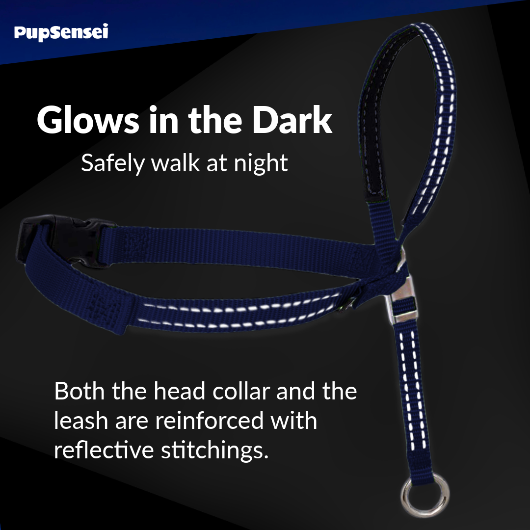 Headcollar for Dogs